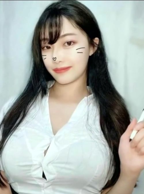 비비고