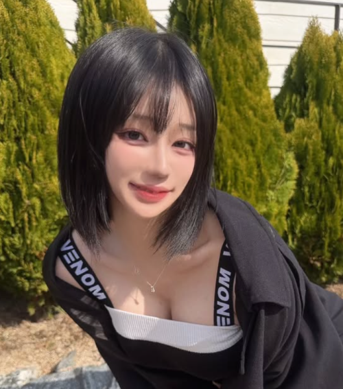 노아