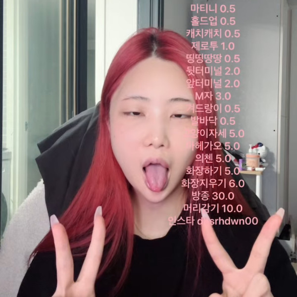 걸레들