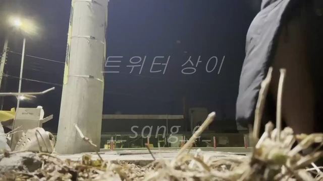 전봇대에 오줌싸는 멍청한애