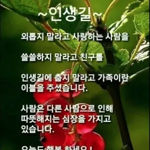 좋은 글귀 하나 던지고 갑니다~